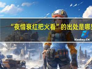 “夜惜衰红把火看”的出处是哪里