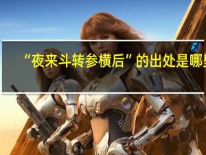 “夜来斗转参横后”的出处是哪里