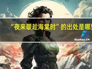 “夜来暖趁海棠时”的出处是哪里