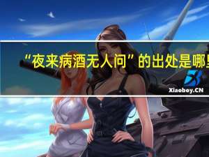 “夜来病酒无人问”的出处是哪里