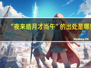 “夜来皓月才当午”的出处是哪里