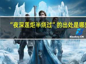 “夜深莲炬半烧过”的出处是哪里