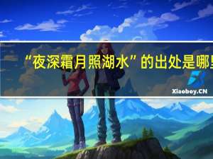 “夜深霜月照湖水”的出处是哪里