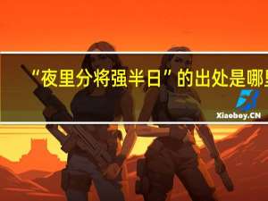 “夜里分将强半日”的出处是哪里