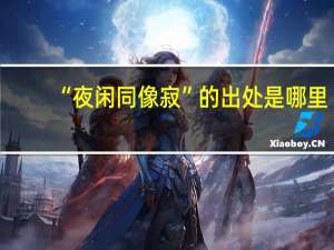 “夜闲同像寂”的出处是哪里