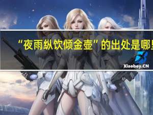 “夜雨纵饮倾金壶”的出处是哪里