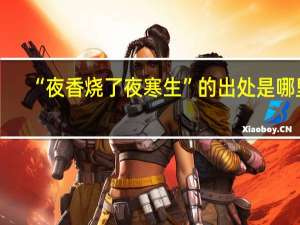 “夜香烧了夜寒生”的出处是哪里