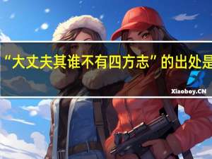 “大丈夫其谁不有四方志”的出处是哪里