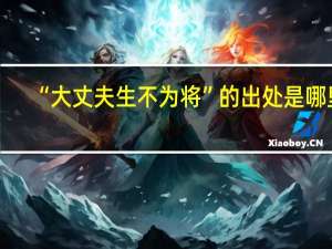 “大丈夫生不为将”的出处是哪里