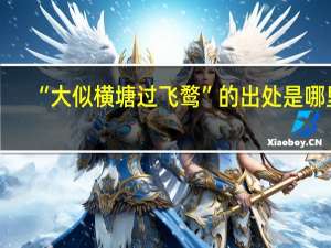 “大似横塘过飞鹜”的出处是哪里