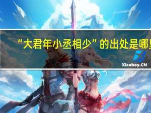 “大君年小丞相少”的出处是哪里