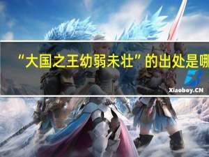 “大国之王幼弱未壮”的出处是哪里