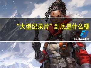 “大型纪录片”到底是什么梗