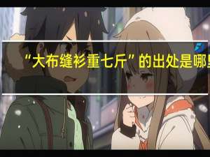 “大布缝衫重七斤”的出处是哪里