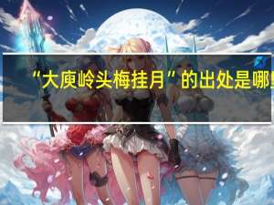 “大庾岭头梅挂月”的出处是哪里