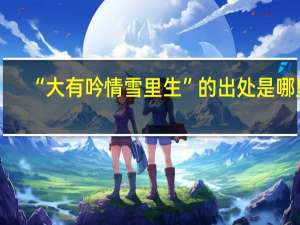 “大有吟情雪里生”的出处是哪里