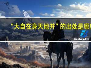 “大自在身天地并”的出处是哪里