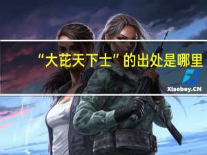 “大芘天下士”的出处是哪里