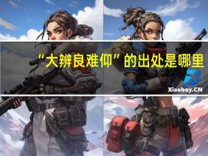 “大辨良难仰”的出处是哪里