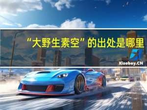 “大野生素空”的出处是哪里