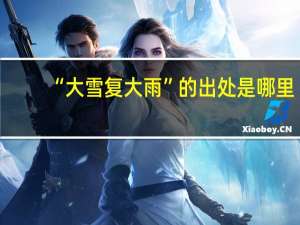 “大雪复大雨”的出处是哪里