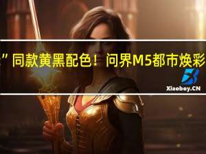 “大黄蜂”同款黄黑配色！问界M5都市焕彩套装官图曝光