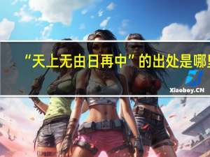 “天上无由日再中”的出处是哪里