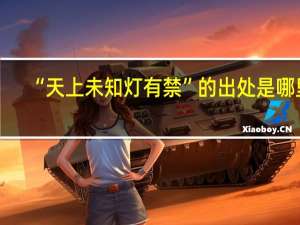 “天上未知灯有禁”的出处是哪里