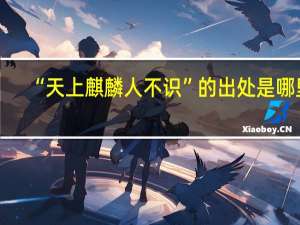 “天上麒麟人不识”的出处是哪里