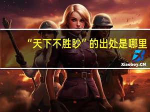 “天下不胜眇”的出处是哪里