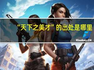 “天下之美才”的出处是哪里