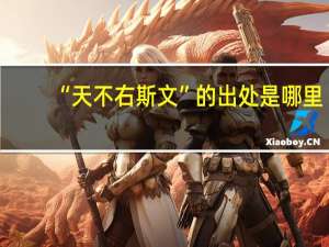 “天不右斯文”的出处是哪里