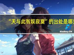 “天与此翁娱寂寞”的出处是哪里