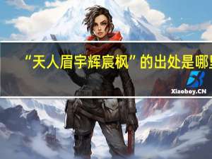 “天人眉宇辉宸枫”的出处是哪里