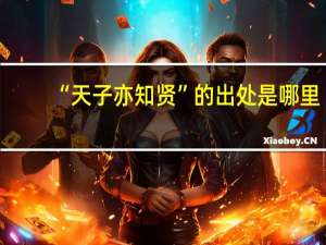 “天子亦知贤”的出处是哪里