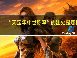 “天宝年中世称罕”的出处是哪里
