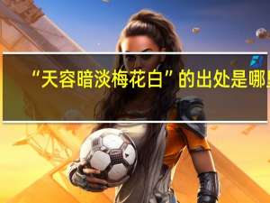 “天容暗淡梅花白”的出处是哪里