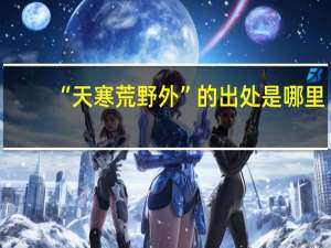 “天寒荒野外”的出处是哪里