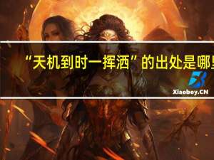 “天机到时一挥洒”的出处是哪里