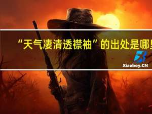 “天气凄清透襟袖”的出处是哪里