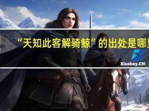 “天知此客解骑鲸”的出处是哪里