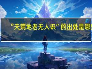 “天荒地老无人识”的出处是哪里