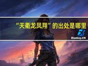 “天衢龙凤翔”的出处是哪里