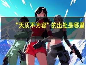 “天质不为容”的出处是哪里