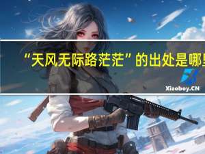 “天风无际路茫茫”的出处是哪里