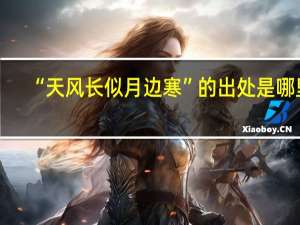 “天风长似月边寒”的出处是哪里