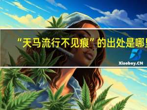 “天马流行不见痕”的出处是哪里