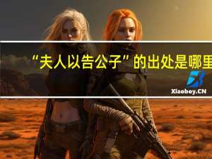 “夫人以告公子”的出处是哪里
