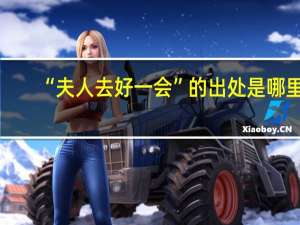 “夫人去好一会”的出处是哪里