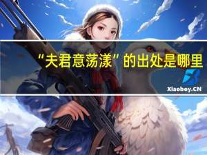 “夫君意荡漾”的出处是哪里